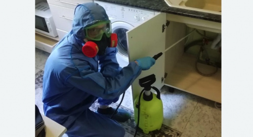 Уничтожение муравьев в квартире. Полянка