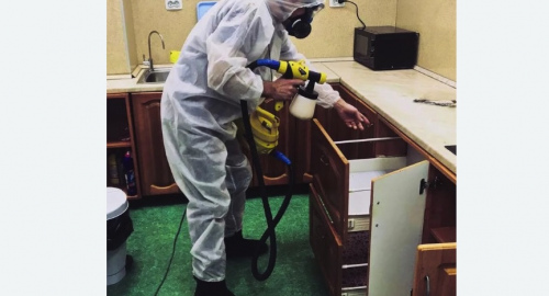 Дезинсекция квартиры. Полянка