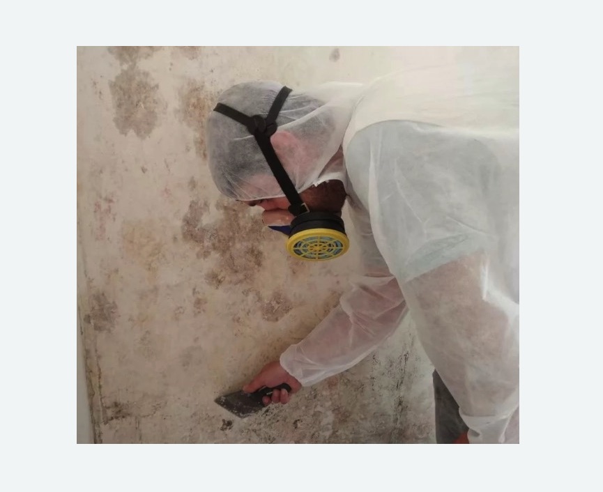 Обработка стен от плесени Полянка метро Москвы