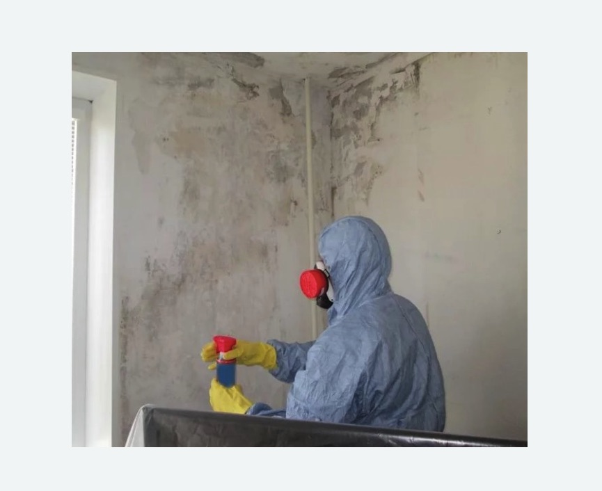 Удаление плесени в квартире Полянка метро Москвы