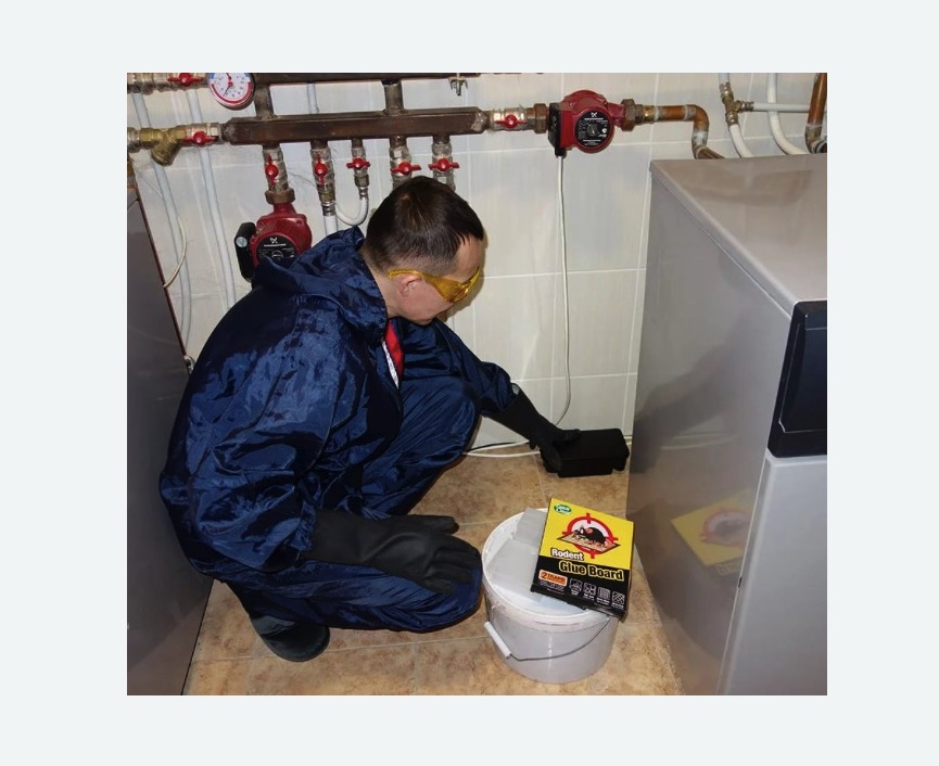 Уничтожение крыс Полянка метро Москвы